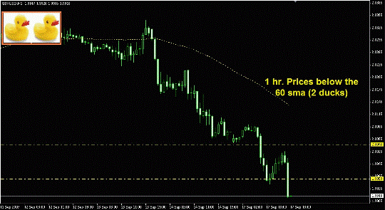 3 ducks trading forex