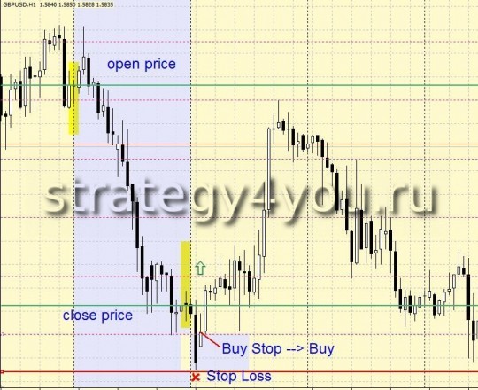 Forex Strategy 80-20