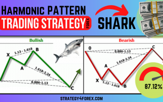 Shark Harmonic Pattern [Forex & Crypto Trading Strategy]