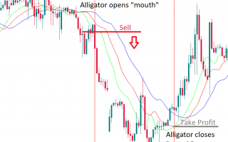Alligator Strategy (Bill Williams) for Forex, Crypto and Binary Options: how to trade, MT4 template