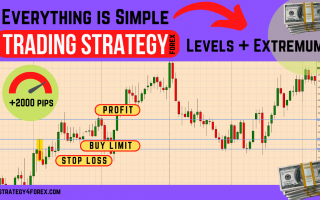 Everything is Simple [Forex & Crypto Trading Strategy]