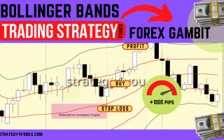 Multi-Currency Forex strategy «Forex Gambit»
