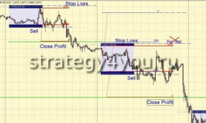 Forex Strategy — «1 Trade a Day»