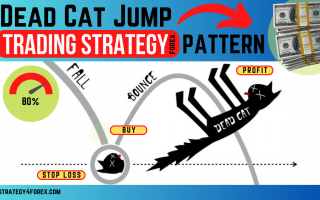 Dead Cat Jump Pattern [Forex & Crypto Trading Strategy]