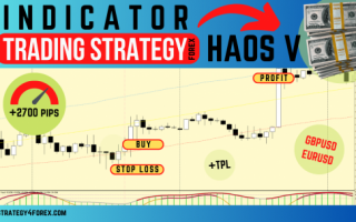 Forex strategy «Haos V» [+2700 points in 12 months]