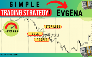 EvgEna [Simple Forex Trading Strategy]