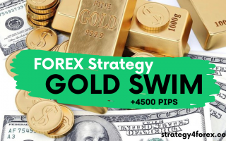 +4500 pips for XAU/USD (GOLD) – Forex Strategy “Gold Swim”