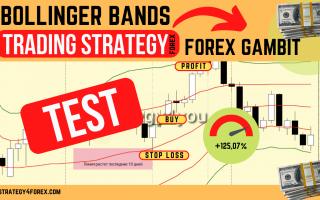 +125,07% — Forex Gambit Strategy Test