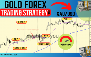 Forex Gold Strategy