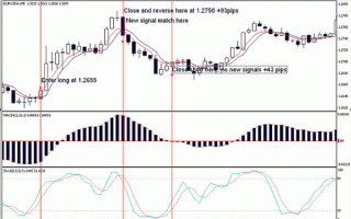 Forex Strategy «Strength»