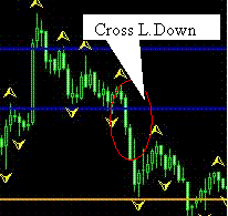 Forex strategy from Fractals and Camarilla