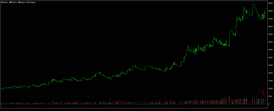 Forex strategy test "Robbery"