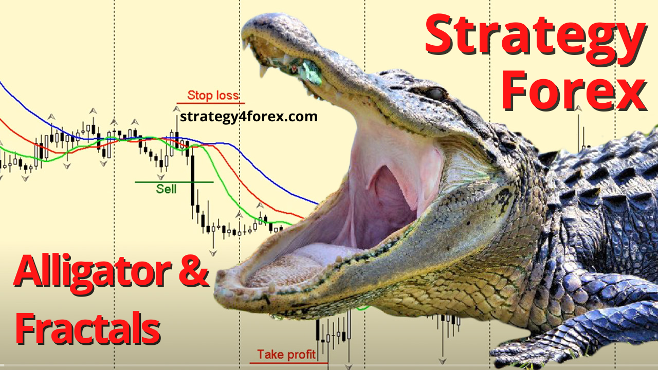 Alligator and Fractals Trading Strategy - FOREX Strategies