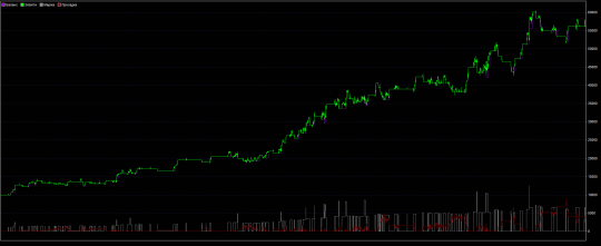 Profitability chart for the ZOO trading strategy from September 3, 2020 to August 31, 2021 inclusive (1 year):