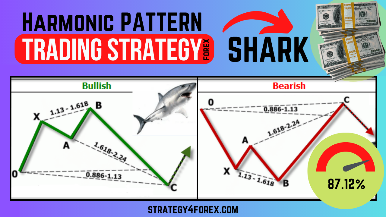 Forex shark crypto wwy